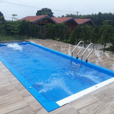 Albergue Trippr Chikkamagaluru Chikmagalūr Exterior foto