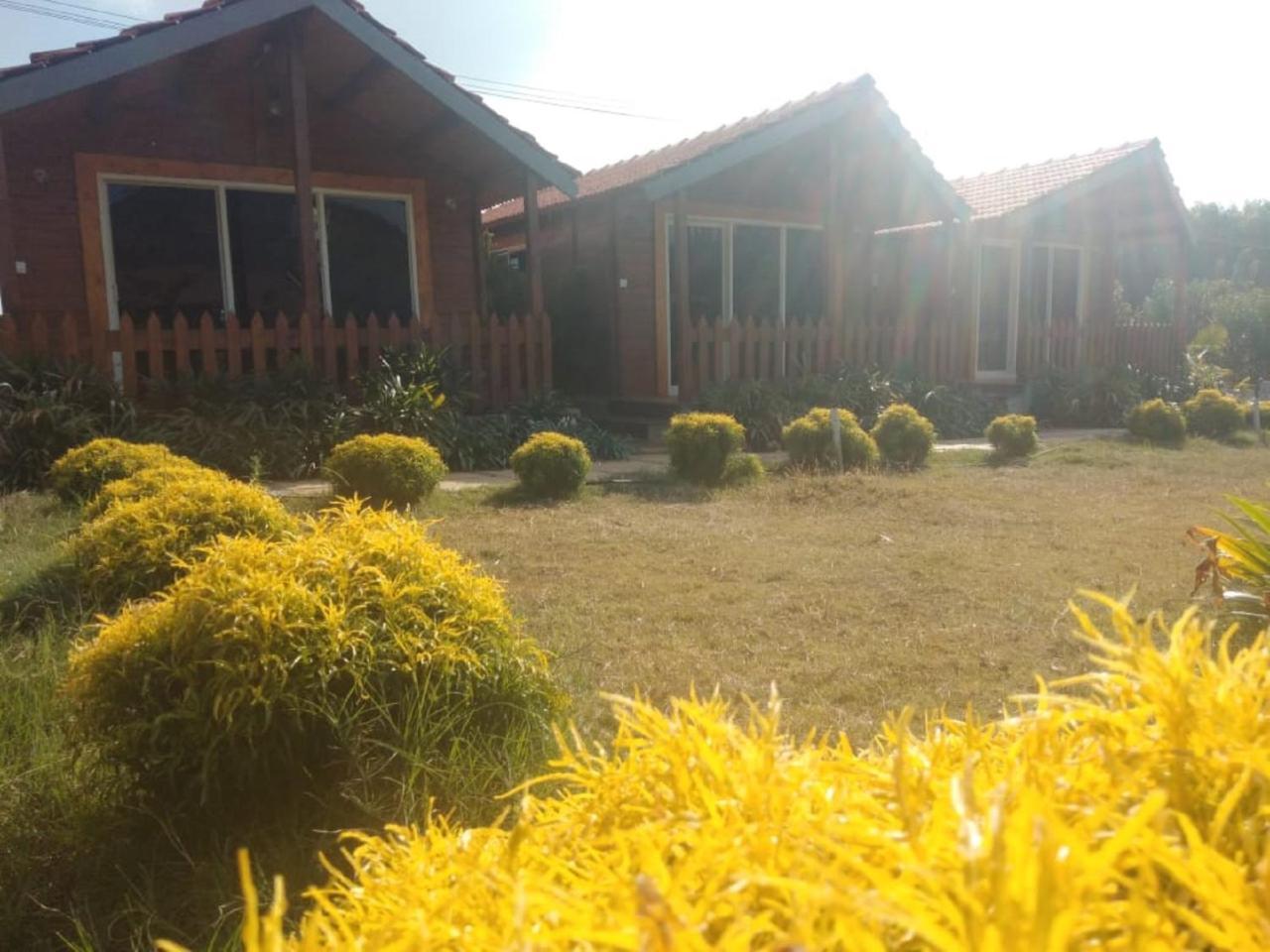 Albergue Trippr Chikkamagaluru Chikmagalūr Exterior foto