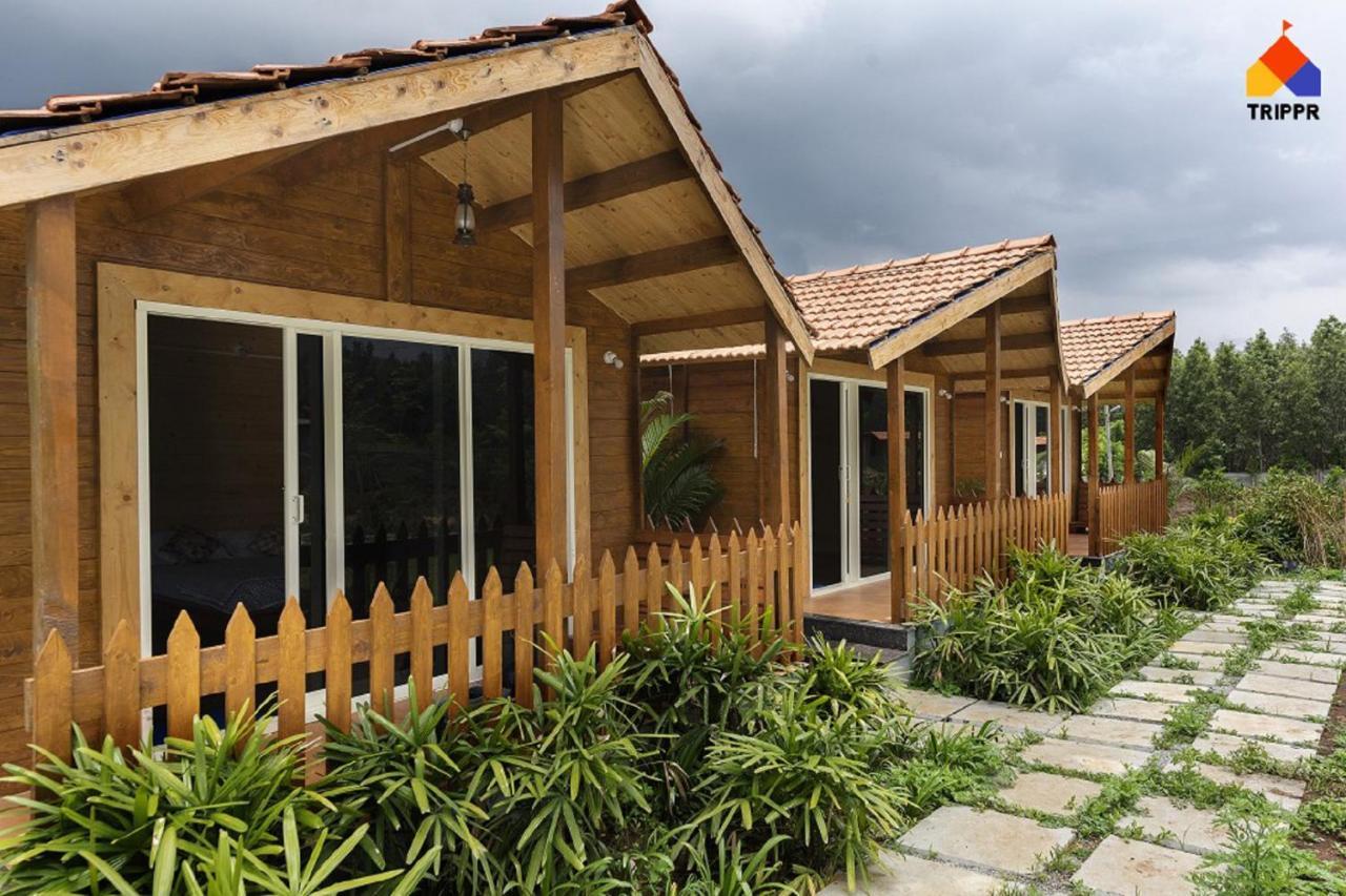 Albergue Trippr Chikkamagaluru Chikmagalūr Exterior foto